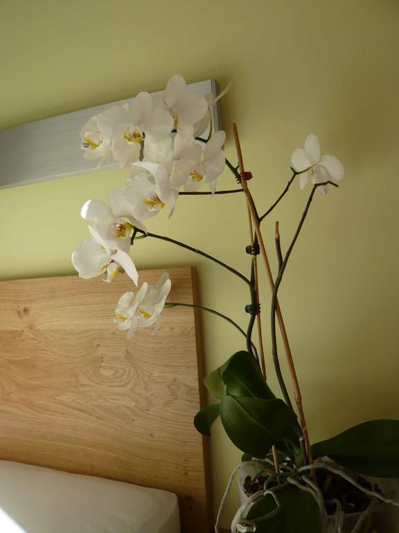 Valbella Bed & Breakfast Partenen Rom bilde